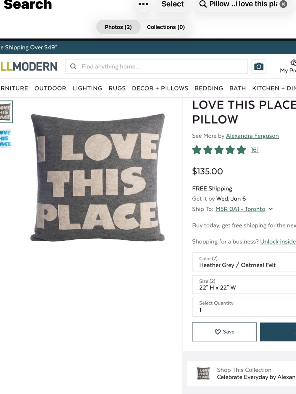 LOVE THIS PLACE Graphic Throw Pillow - Heather Gray & Oatmeal